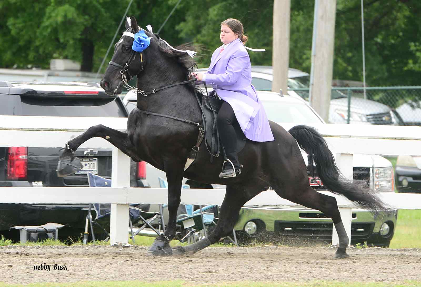 Kaitlyn Peeler North Carolina Walking Horse Association