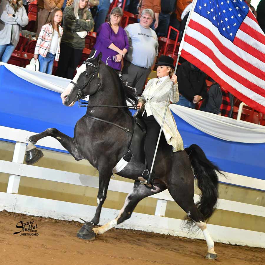 Lexie flag North Carolina Walking Horse Association